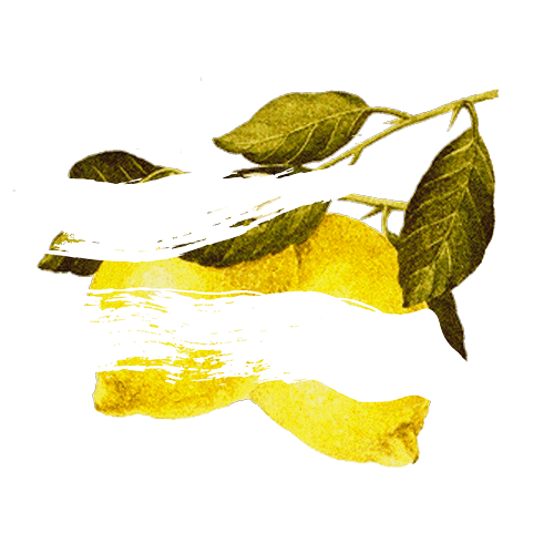 Ving Kale, Lemon Peel & Cucumber Vodka Flaviar